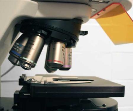 Link to /sites/default/files/styles/post_teaser_image_300x250_/public/images/blog/thumb/thumb_research_microscope01.jpg?h=7985b236&itok=vXR9O2_L