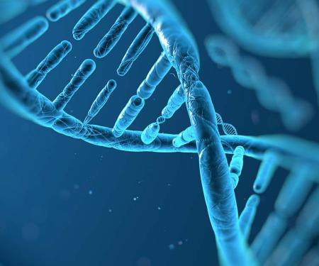 A digital rendition of a double helix, artistically representing DNA in shades of blue.