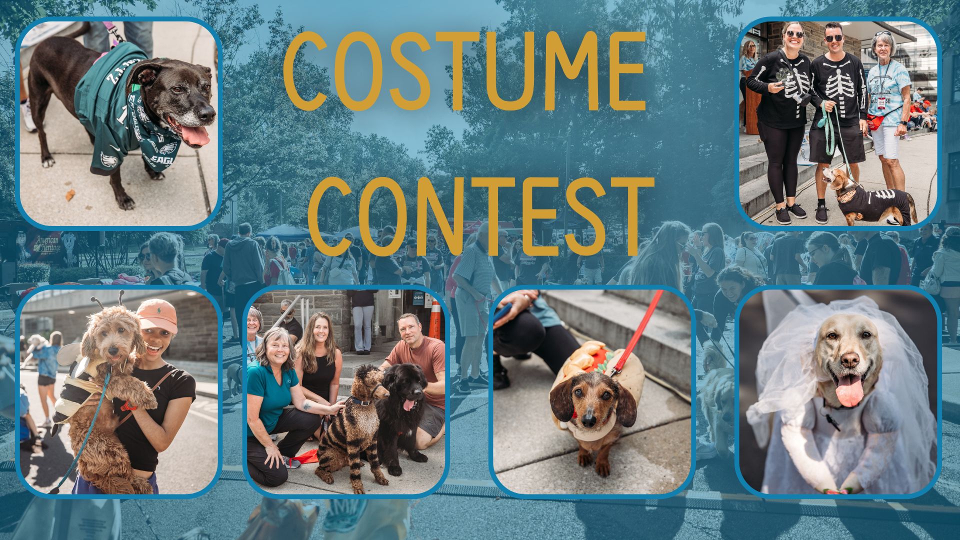 Costume Contest Page Header