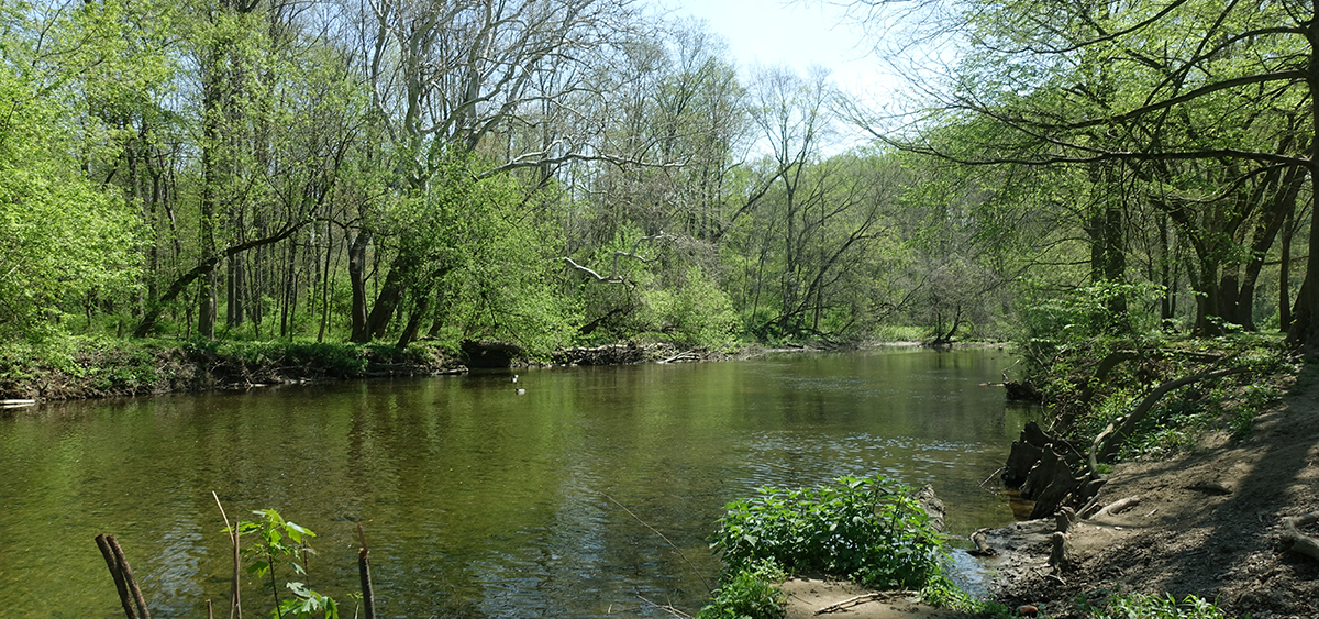 Pennypack Park