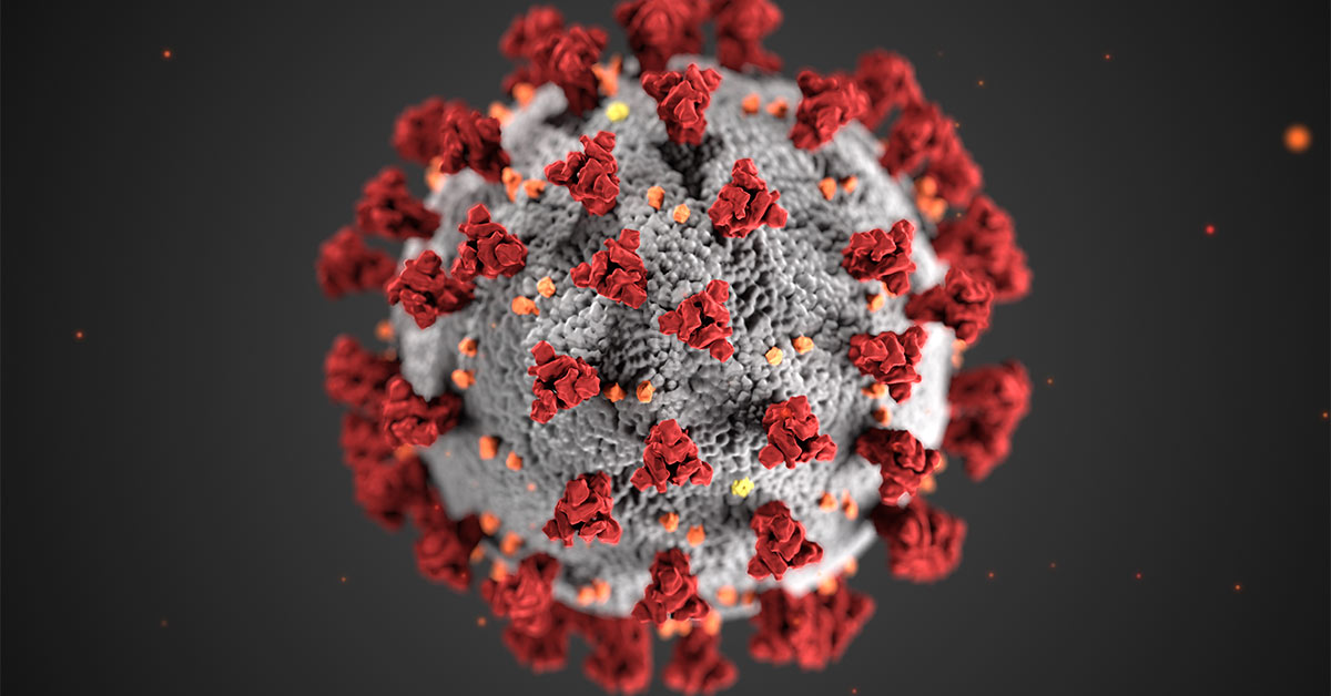 A 3D representation of a virus.