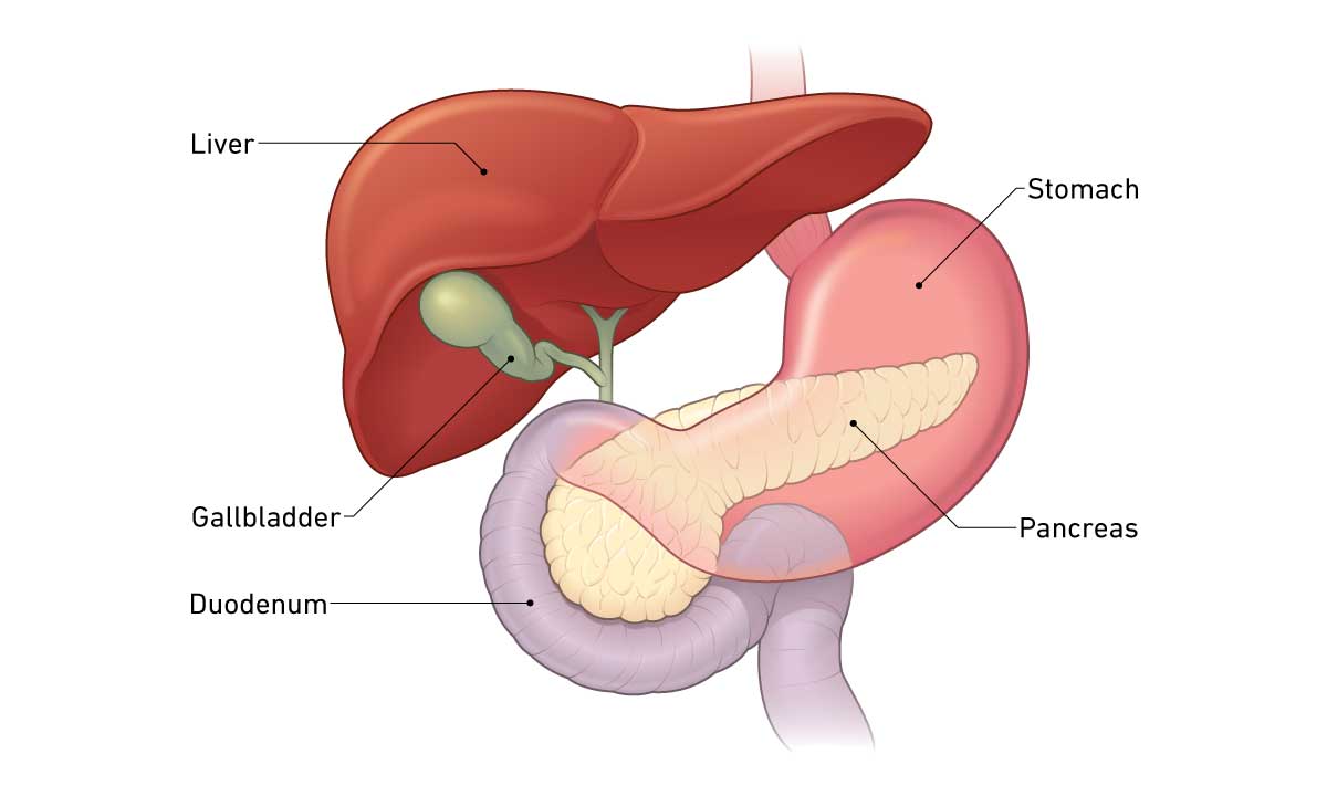 Surgery For Pancreatic Cancer 