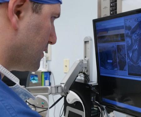 Link to /sites/default/files/styles/post_teaser_image_300x250_/public/fox-chase-kutikov.jpg?h=f4561d12&itok=kr8SyH-c