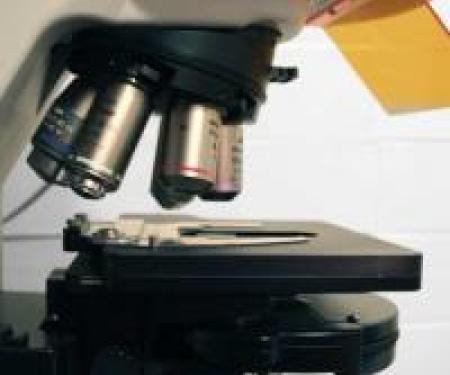 Link to /sites/default/files/styles/post_teaser_image_300x250_/public/images/news/thumb/thumb_research_microscope01_10_0.jpg?h=55541bb6&itok=QS60QiKB