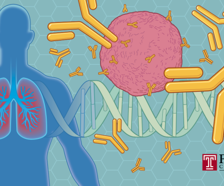 A drawing showing a person's lungs in their chest, with a pink circle depicting a cancer cell being surrounded by antibodies.